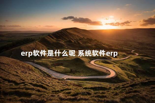 erp软件是什么呢 系统软件erp